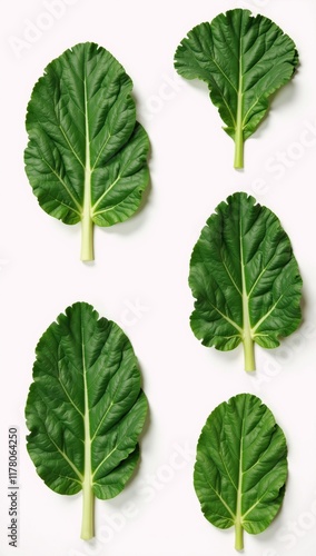 Kale leaves isolated on a white backdrop - Ideal for health-focused imagery vegan dishes  natural foods photo