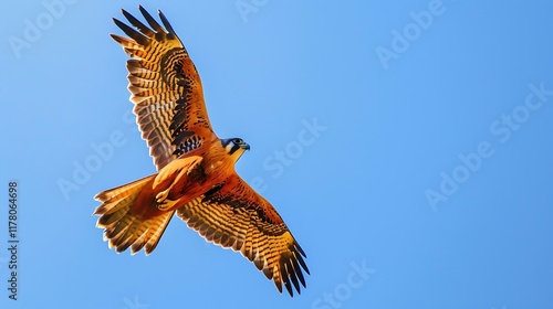 A majestic Falconet bird in a striking golden hue, soaring through a clear blue sky. photo