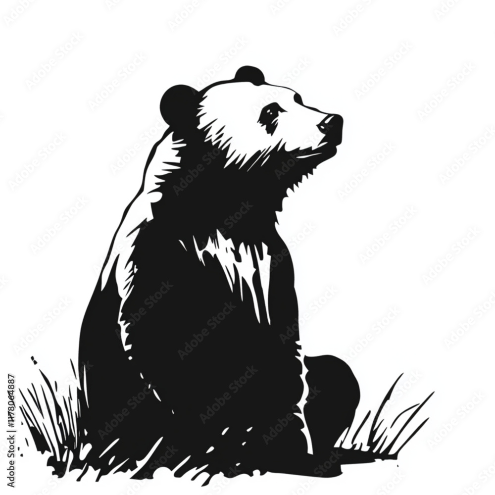 Fototapeta premium bear in the forest