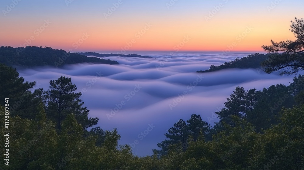 Fototapeta premium Serene Sunrise Over Rolling Foggy Valley Landscape