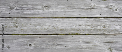 Textured wood surface with vibrant moss showcasing natural beauty and contrast