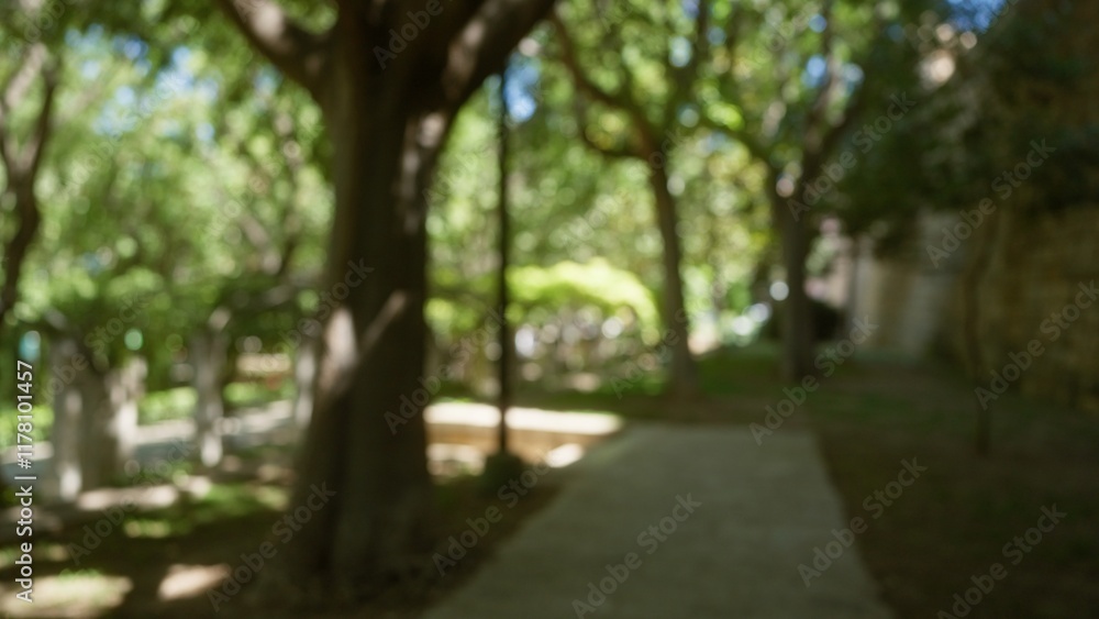 Blurred photo of an outdoor park in mallorca with defocused trees and walkway in the background Blurred photo of an outdoor park in mallorca with defocused trees and walkway in the background