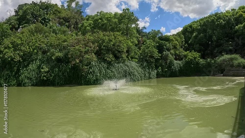 water fountain in a park during a sunny day with a rustic wall and green scenery in the background