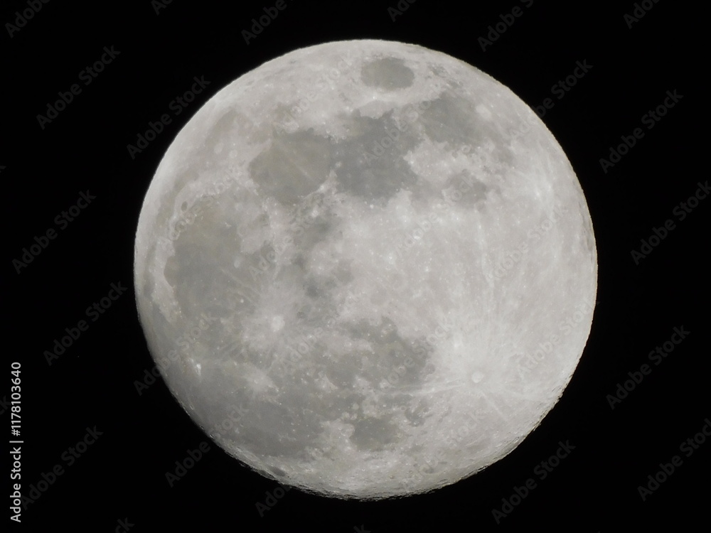Fototapeta premium LUNA