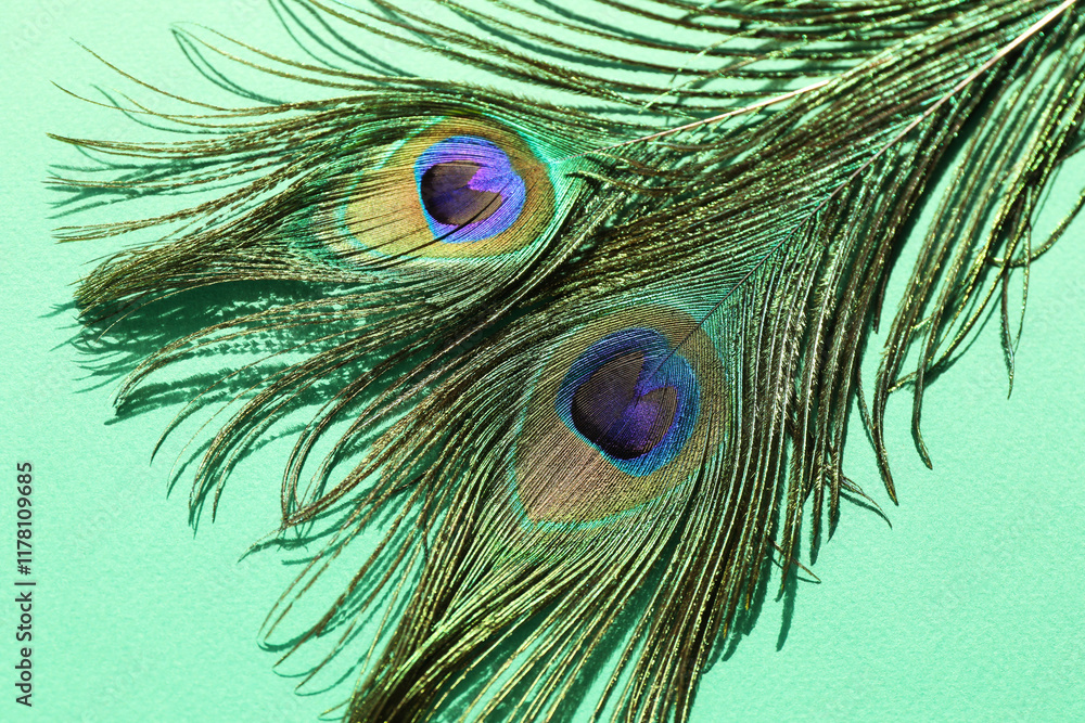 Naklejka premium Two beautiful peacock feathers on turquoise background, top view