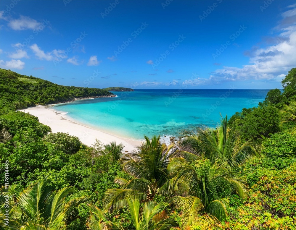 lush green tropical vegetation covers the land down to a pristine white sand beach and calm turquoise ocean water lush green tropical vegetation covers the land down to a pristine white sand beach and calm turquoise ocean water