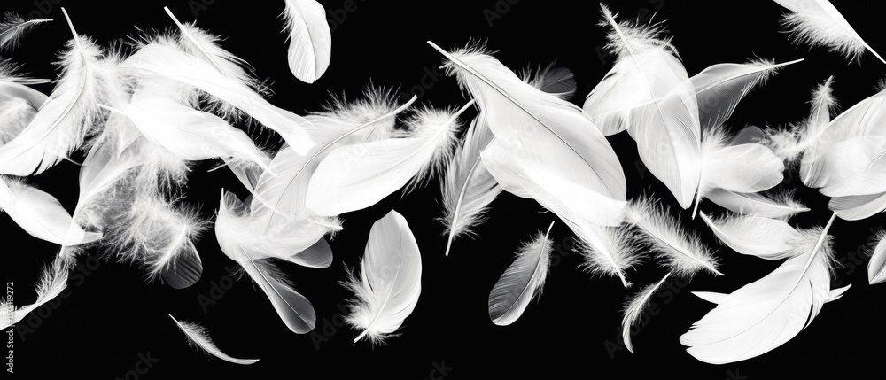 Fototapeta premium Soft floating feathers create a serene overlay texture against a deep black background
