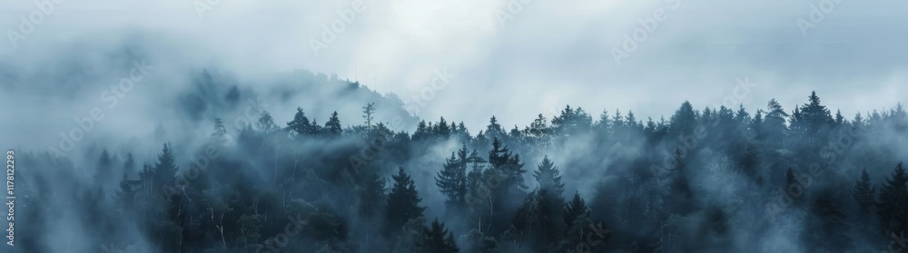 Amazing fog landscape in black forest panorama banner long Amazing fog landscape in black forest panorama banner long