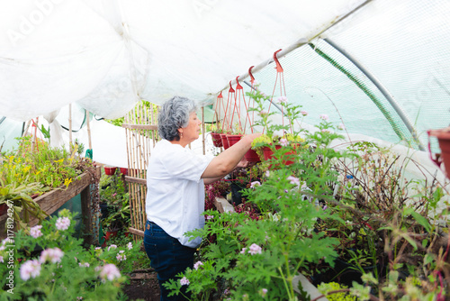 Senior Woman Gardening in a Greenhouse photo