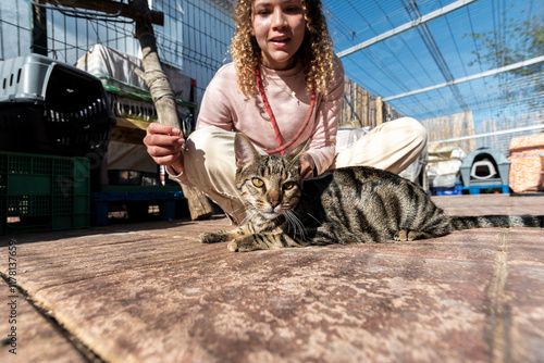 Volunteer caring a tabby cat in animal shelter photo