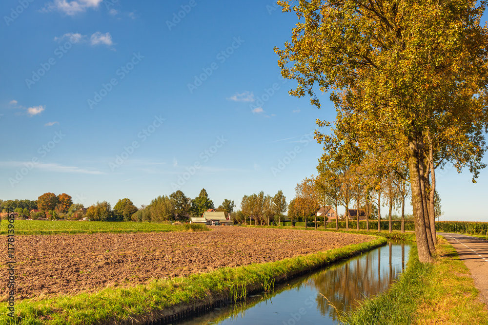 Agricultural landscape with a ploughed field and a ditch for the drainage of the polder. The trees are reflected in the water. The photo was taken on a sunny and windless day in the autumn season.