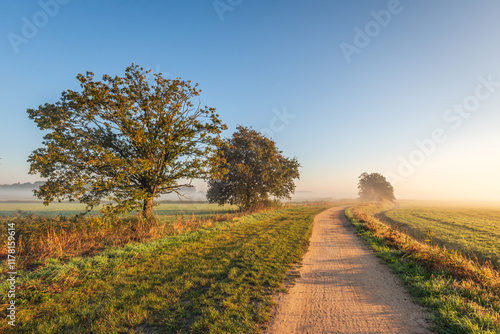 Meandering dirt path through a rural autumn landscape. The sun is low in the sky and there is some mist hanging over the fields in the background.