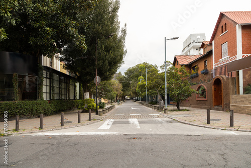 Fotografi An avenue with trees lining one side and houses on the other, creating a balanced and peaceful street view