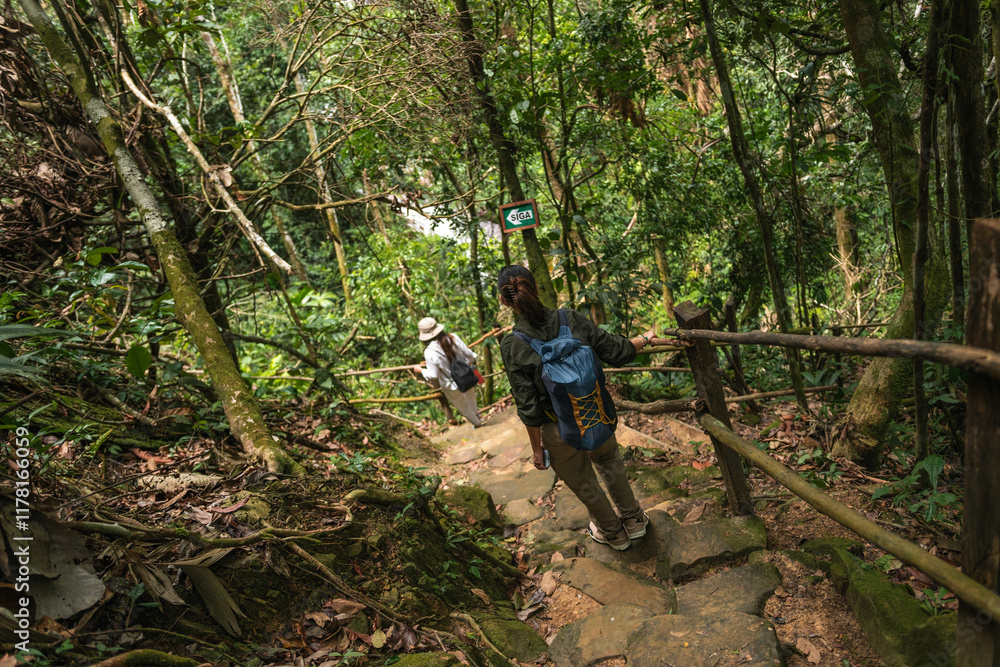 Female travelers in the jungle South America Female travelers in the jungle South America