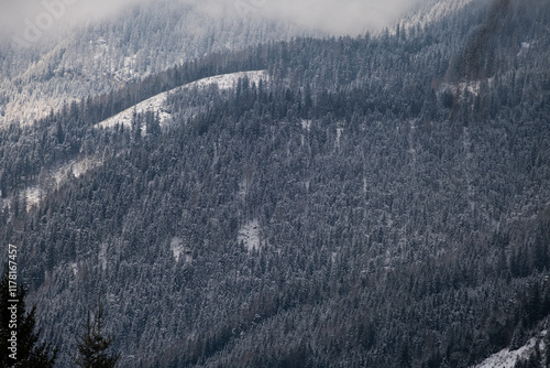 Winter in mountains. photo