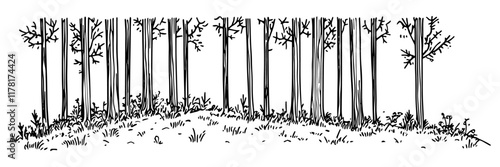 tall trees in a forest clearing in black outline style