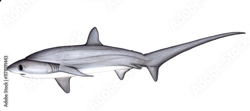 Obraz na płótnie shark w salonie