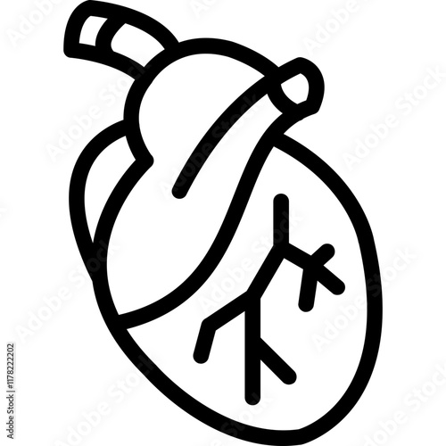 Coronary Artery