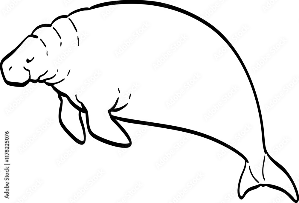 hand drawn cute cartoon Dugong illustration. hand drawn cute cartoon Dugong illustration.