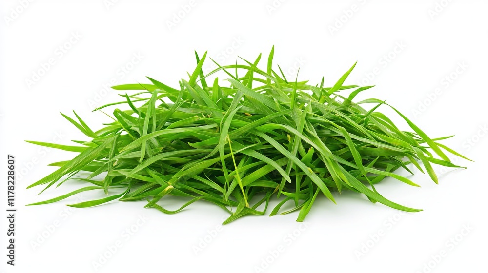 Fresh Green Grass: A Vibrant and Healthy Food Source for a Nutritious Diet Fresh Green Grass: A Vibrant and Healthy Food Source for a Nutritious Diet