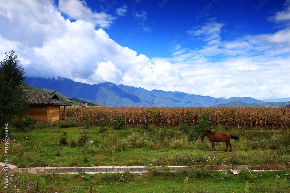 Scenery of Lugu Lake in Yunnan, China Scenery of Lugu Lake in Yunnan, China
