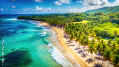 Dominican Republic Playa Rincon Drone Aerial Tilt-Shift Photography: Empty Beach Paradise