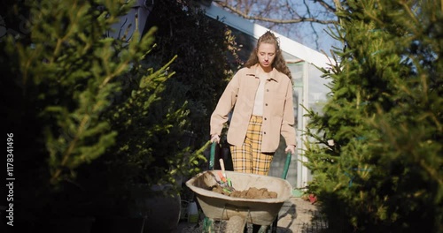 Woman working in a garden center pushing a wheelbarrow with soil among evergreen trees on a sunny day, highlighting gardening and landscaping concepts. photo