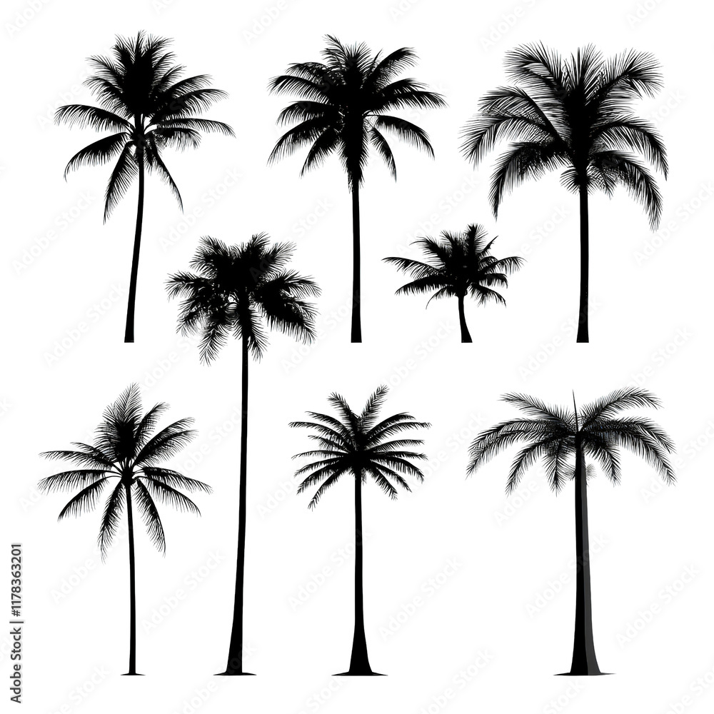 Silhouettes of Majestic Palm Trees Against a Vibrant Sunset Sky Creating a Tropical and Serene Atmosphere for Relaxation isolated on white background Silhouettes of Majestic Palm Trees Against a Vibrant Sunset Sky Creating a Tropical and Serene Atmosphere for Relaxation isolated on white background