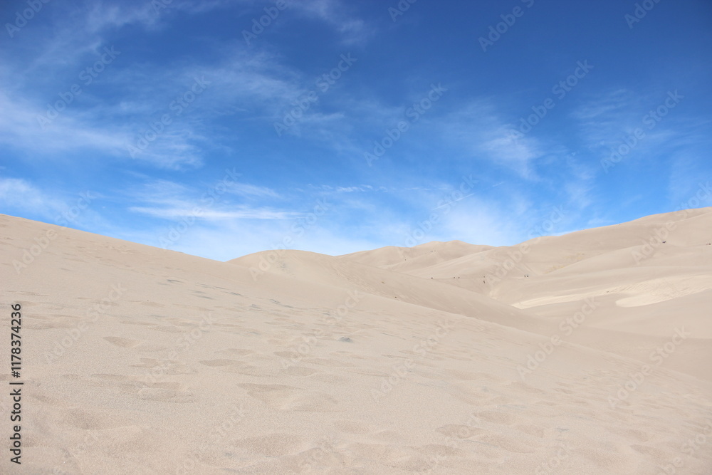 Sand Dunes Sand Dunes