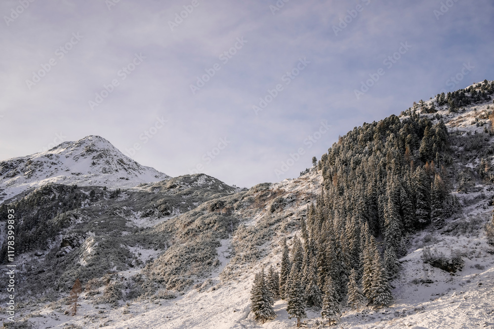 Winter scenery in the Swiss Alps, Grisons, Switzerland Winter scenery in the Swiss Alps, Grisons, Switzerland