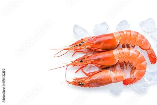 Three shrimp are sitting on a white background with ice photo