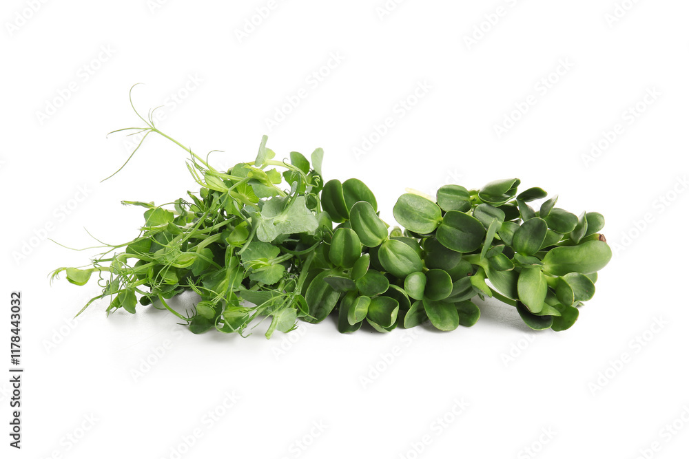 Obraz premium Heap of fresh micro green isolated on white background