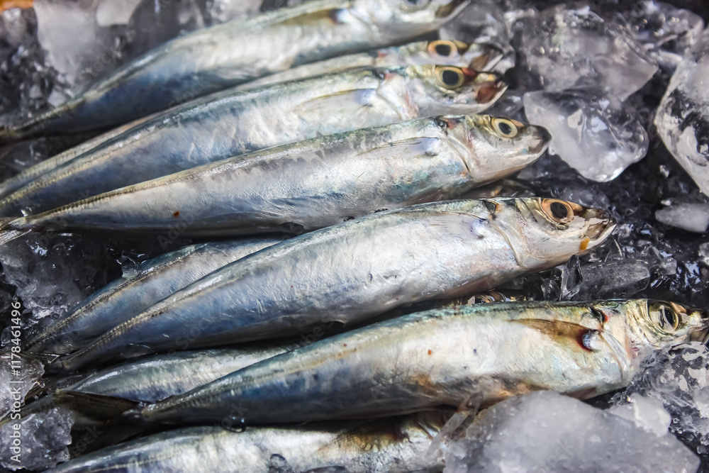 Several mackerel scad fish on ice Several mackerel scad fish on ice