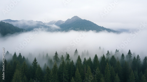 Misty Mountain Majesty: An ...