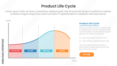product life cycle diagram chart infographic template banner with line diagram on left with right text layout with 4 point for slide presentation