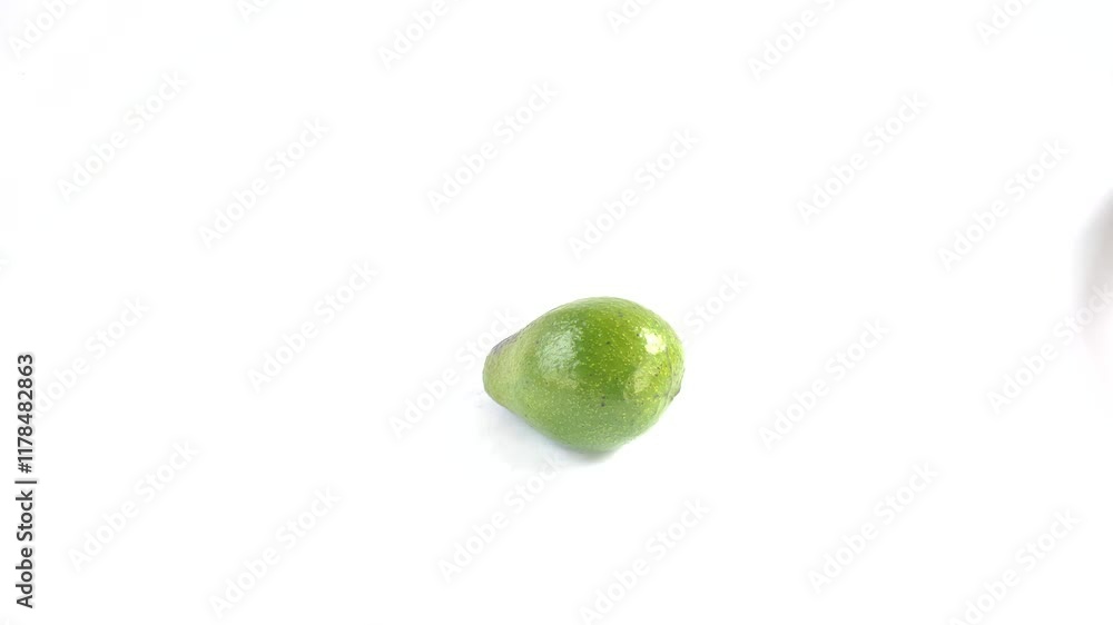 An Avocado or Persea americana fruit on a white background. Avocados grow in tropical and sub-tropical climates. It has a soft and delicious texture. Contains good fat and protein. An Avocado or Persea americana fruit on a white background. Avocados grow in tropical and sub-tropical climates. It has a soft and delicious texture. Contains good fat and protein.