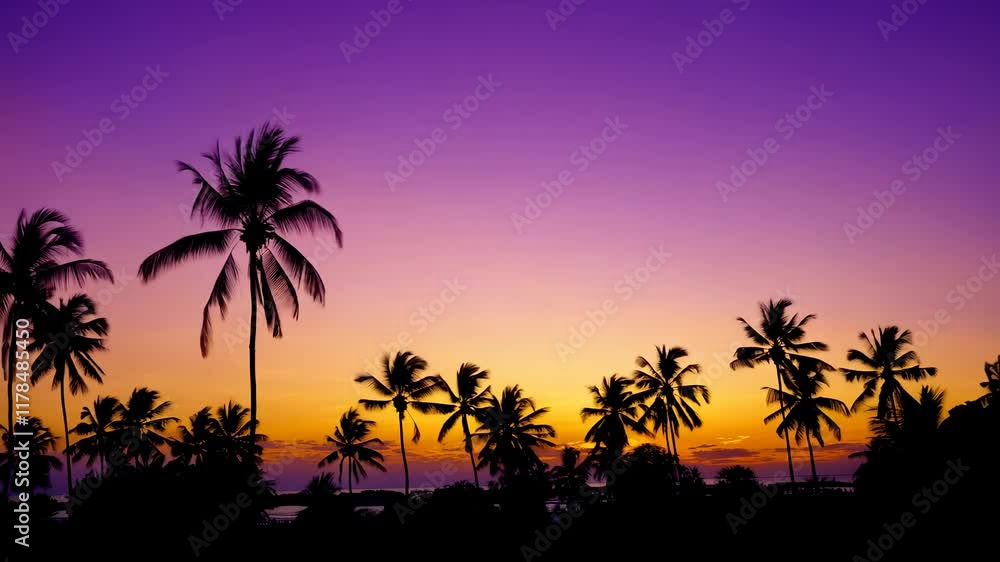 Silhouetted Palm Trees at Sunset: Tropical Paradise Silhouetted Palm Trees at Sunset: Tropical Paradise