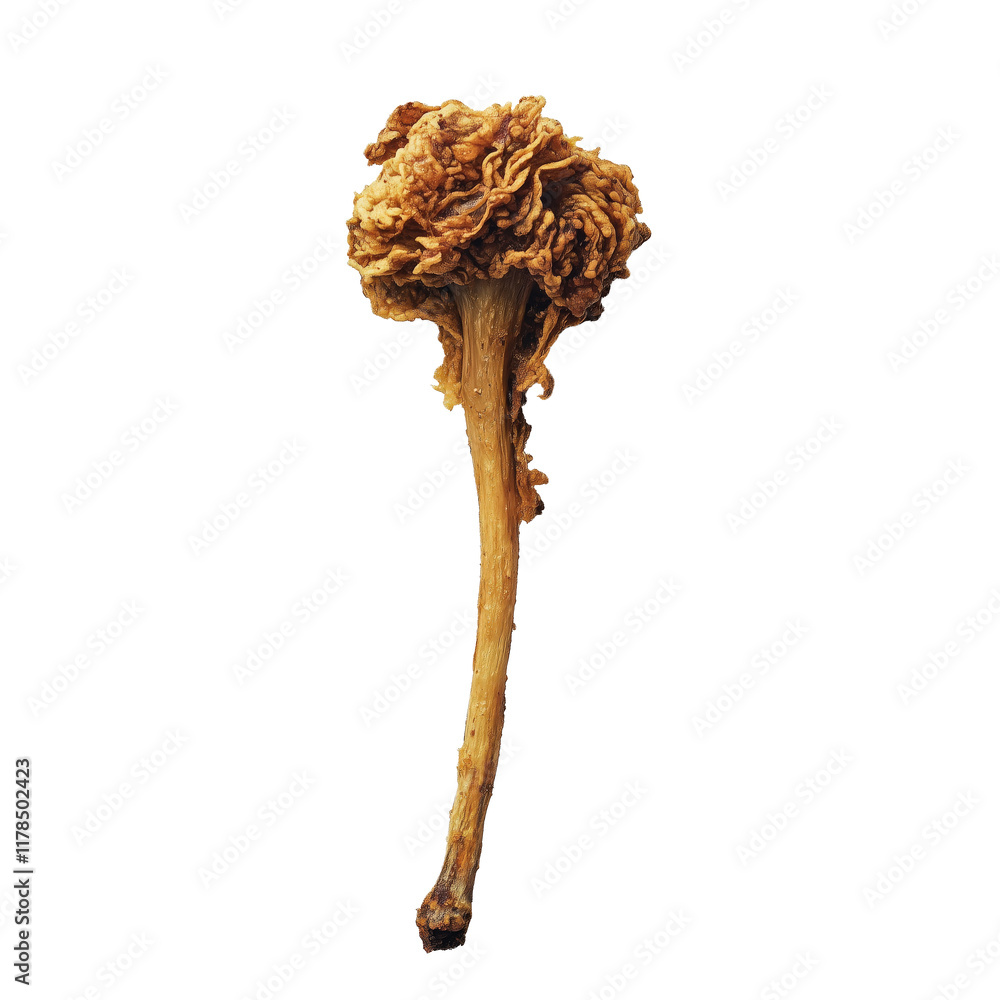 A crispy fried chicken drumstick on transparent background A crispy fried chicken drumstick on transparent background
