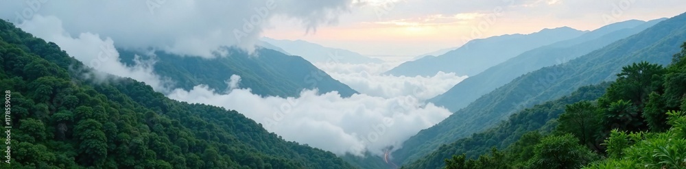 Obraz premium Cloudy morning in a Taiwanese mountain valley, tranquil, cloudy, valley