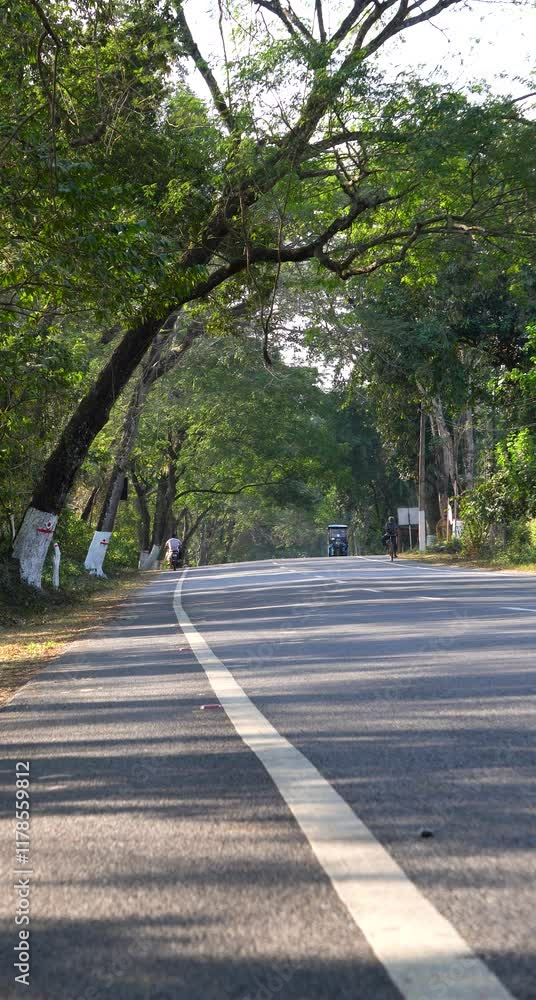 National highway 37 inside Kaziranga National Park vertical video 1 National highway 37 inside Kaziranga National Park vertical video 1