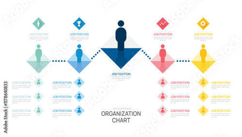 organization chart Infographic template for with business avatar icons. vector illustration.