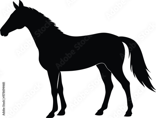 horse silhouette vector, running horse vector illustration