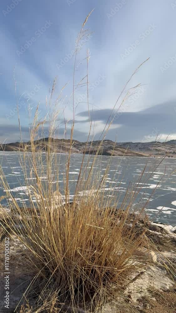 Vertical video of Baikal Lake in winter cold windy day. Dry grass on coast of bay on background of blue ice of frozen Kurkut bay. Beautiful landscape. Nature backdrop. Winter travels and outdoors Vertical video of Baikal Lake in winter cold windy day. Dry grass on coast of bay on background of blue ice of frozen Kurkut bay. Beautiful landscape. Nature backdrop. Winter travels and outdoors