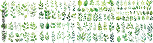 Green watercolor leaves on isolated background	