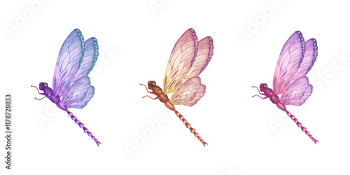 Hand paint Dragonfly watercolor artwork collection 