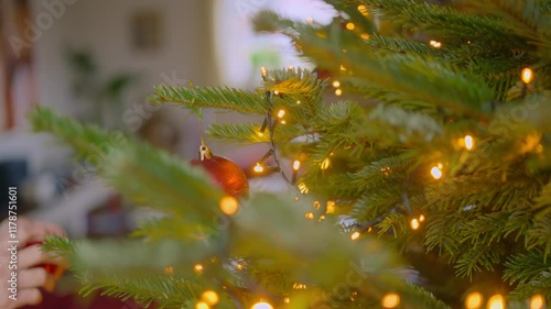 Close-up of hands carefully hanging a red bauble on a Christmas tree branch lit with warm glowing lights photo