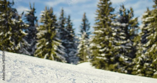 Snow-covered ski slope with evergreen trees and out-of-focus skier on a sunny winter day in Kopaonik forest setting