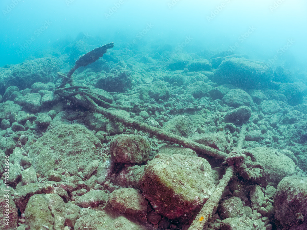 Fototapeta premium 水底に残された古い時代の錨。 静岡県伊豆半島賀茂郡南伊豆町中木ヒリゾ浜2024年 