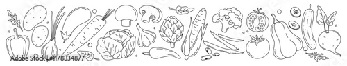 Vegetables in doodle style. Carrot, Corn, Mushroom, Cucumber, Cabbage, Potato, Garlic, Artichoke, Pepper, Eggplant, Onion, Tomato, Beet, Bean, Pumpkin. Vegetarian, farm grocery store. Vector illustrat