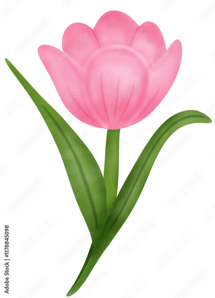bouquet of tulips bouquet of tulips